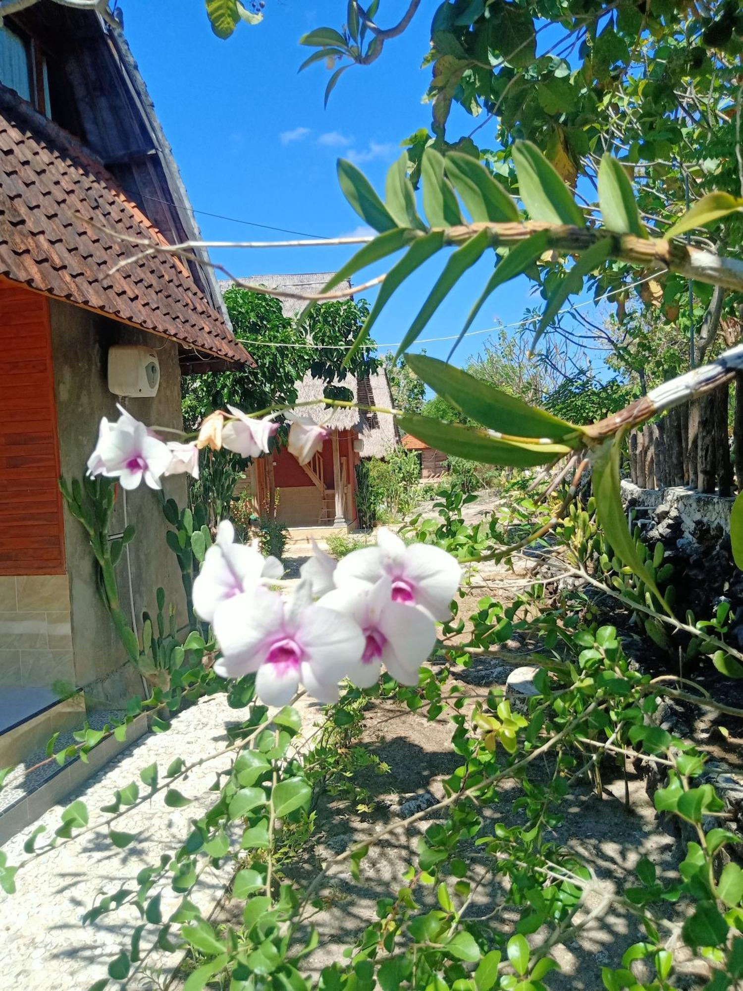 The Somayan Bungalows Batununggul Luaran gambar