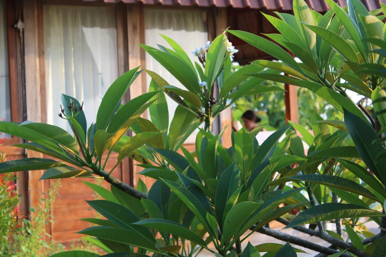 The Somayan Bungalows Batununggul Luaran gambar